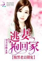 腹黑老公圈寵:逃妻抱回家